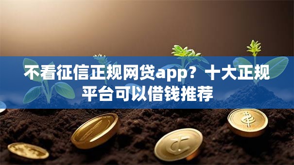 不看征信正规网贷app？十大正规平台可以借钱推荐