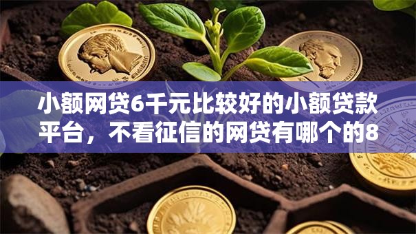小额网贷6千元比较好的小额贷款平台，不看征信的网贷有哪个的8个平台介绍