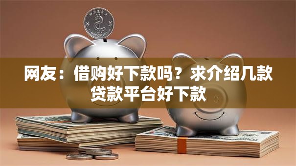 网友：借购好下款吗？求介绍几款贷款平台好下款