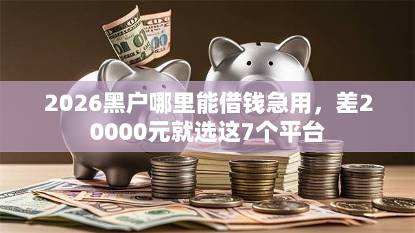 2026黑户哪里能借钱急用，差20000元就选这7个平台