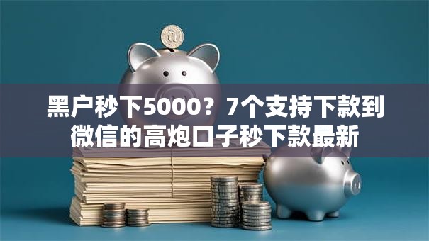 黑户秒下5000？7个支持下款到微信的高炮口子秒下款最新