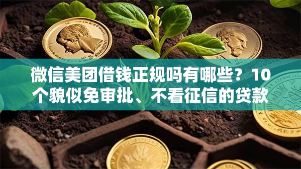 微信美团借钱正规吗有哪些？10个貌似免审批、不看征信的贷款口子合集