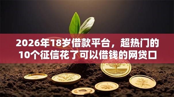 2026年18岁借款平台，超热门的10个征信花了可以借钱的网贷口子推荐