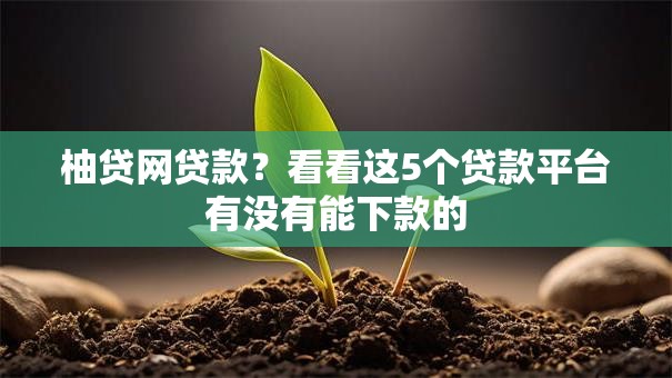 柚贷网贷款？看看这5个贷款平台有没有能下款的