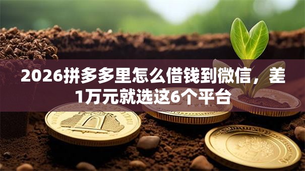 2026拼多多里怎么借钱到微信，差1万元就选这6个平台
