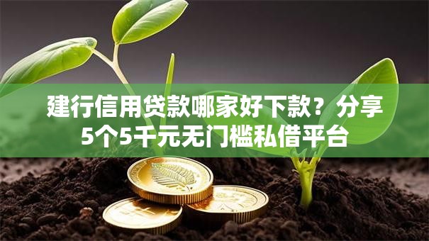 建行信用贷款哪家好下款？分享5个5千元无门槛私借平台