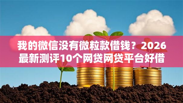我的微信没有微粒款借钱？2026最新测评10个网贷网贷平台好借款
