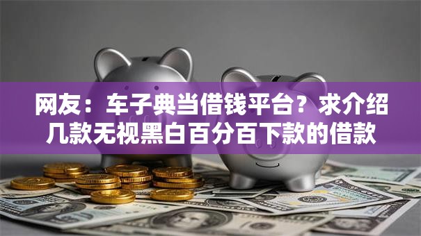网友：车子典当借钱平台？求介绍几款无视黑白百分百下款的借款口子
