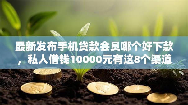 最新发布手机贷款会员哪个好下款，私人借钱10000元有这8个渠道