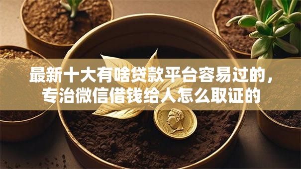 最新十大有啥贷款平台容易过的，专治微信借钱给人怎么取证的