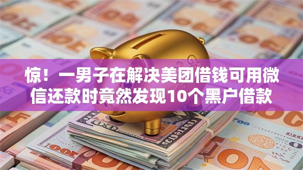 惊！一男子在解决美团借钱可用微信还款时竟然发现10个黑户借款必下口子，事后分享了出来