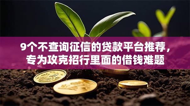 9个不查询征信的贷款平台推荐，专为攻克招行里面的借钱难题