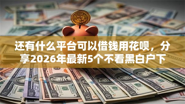 还有什么平台可以借钱用花呗，分享2026年最新5个不看黑白户下款的网贷