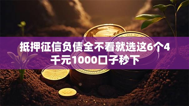 抵押征信负债全不看就选这6个4千元1000口子秒下