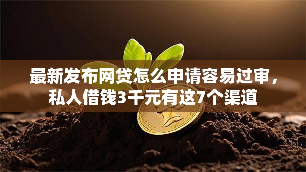 最新发布网贷怎么申请容易过审，私人借钱3千元有这7个渠道