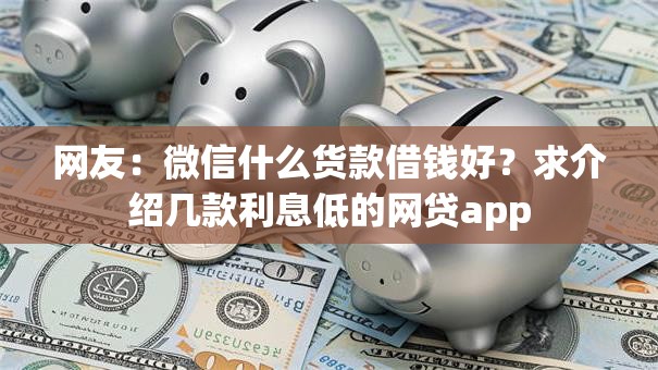 网友：微信什么货款借钱好？求介绍几款利息低的网贷app