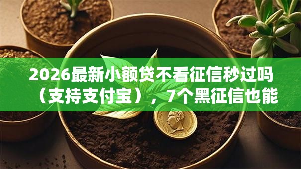 2026最新小额贷不看征信秒过吗（支持支付宝），7个黑征信也能贷款的网贷app无私分享