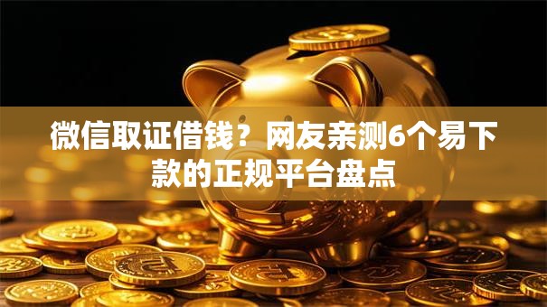 微信取证借钱？网友亲测6个易下款的正规平台盘点