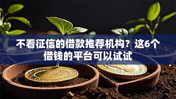 不看征信的借款推荐机构？这6个借钱的平台可以试试