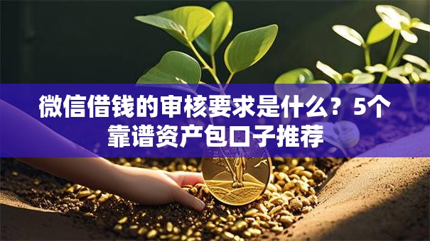 微信借钱的审核要求是什么？5个靠谱资产包口子推荐
