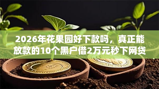2026年花果园好下款吗，真正能放款的10个黑户借2万元秒下网贷口子app推荐