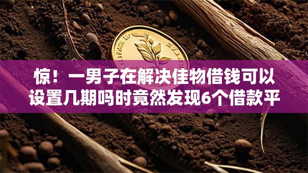 惊！一男子在解决佳物借钱可以设置几期吗时竟然发现6个借款平台能贷款，事后分享了出来