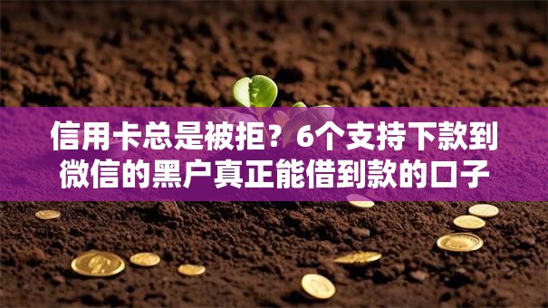 信用卡总是被拒？6个支持下款到微信的黑户真正能借到款的口子