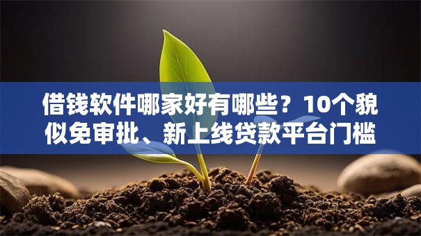 借钱软件哪家好有哪些？10个貌似免审批、新上线贷款平台门槛低口子合集