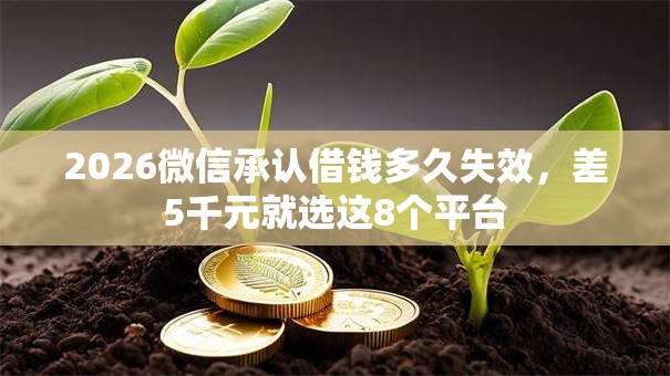 2026微信承认借钱多久失效，差5千元就选这8个平台