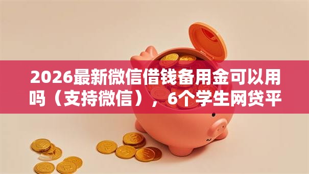 2026最新微信借钱备用金可以用吗（支持微信），6个学生网贷平台无私分享