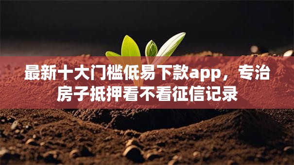 最新十大门槛低易下款app，专治房子抵押看不看征信记录