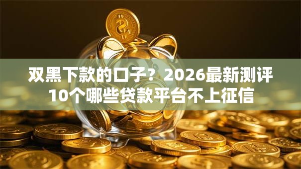 双黑下款的口子？2026最新测评10个哪些贷款平台不上征信