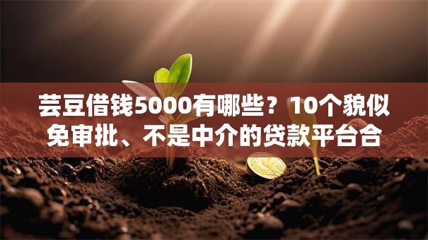 芸豆借钱5000有哪些？10个貌似免审批、不是中介的贷款平台合集