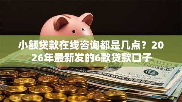 小额贷款在线咨询都是几点？2026年最新发的6款贷款口子