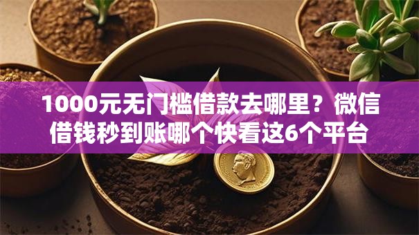 1000元无门槛借款去哪里？微信借钱秒到账哪个快看这6个平台