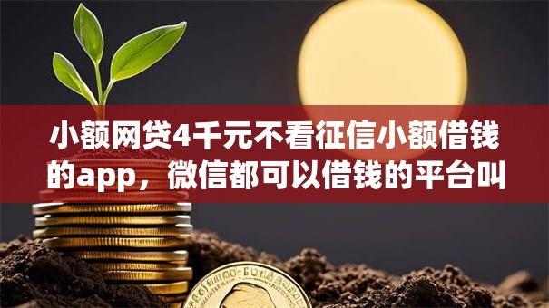 小额网贷4千元不看征信小额借钱的app，微信都可以借钱的平台叫什么的7个平台介绍