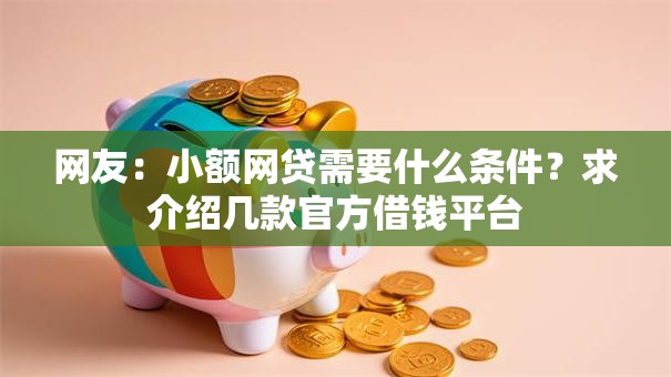 网友：小额网贷需要什么条件？求介绍几款官方借钱平台