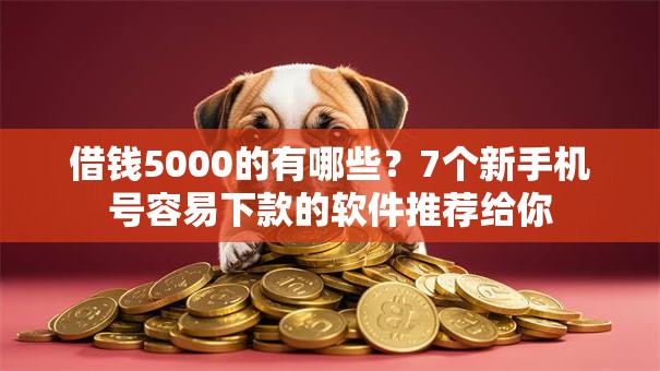 借钱5000的有哪些？7个新手机号容易下款的软件推荐给你