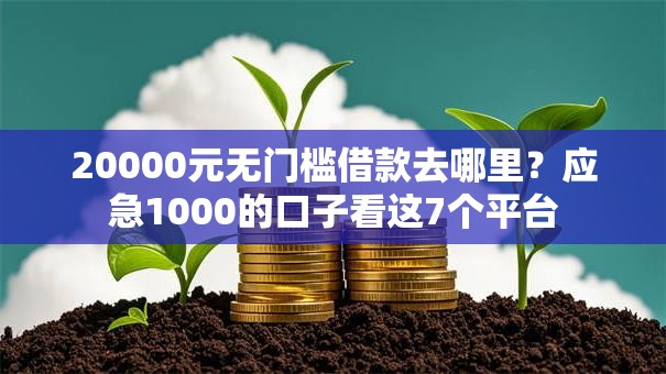 20000元无门槛借款去哪里？应急1000的口子看这7个平台