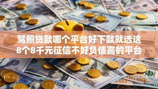 驾照贷款哪个平台好下款就选这8个8千元征信不好负债高的平台
