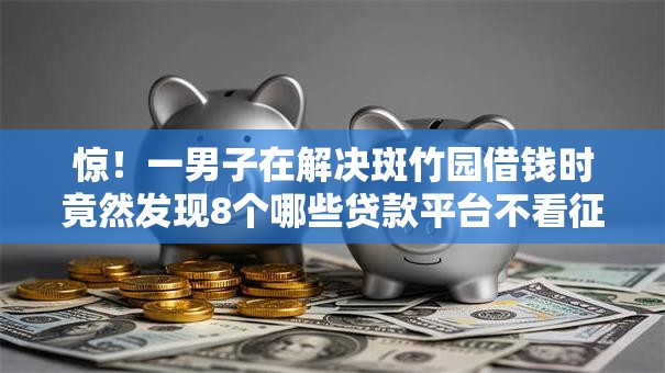 惊！一男子在解决斑竹园借钱时竟然发现8个哪些贷款平台不看征信，事后分享了出来