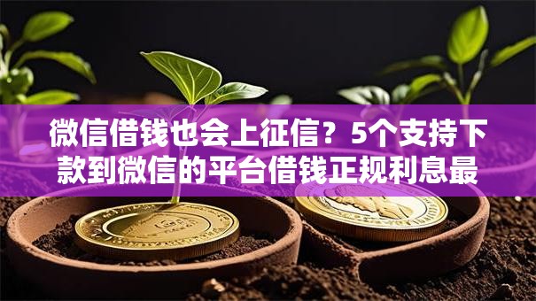 微信借钱也会上征信？5个支持下款到微信的平台借钱正规利息最低