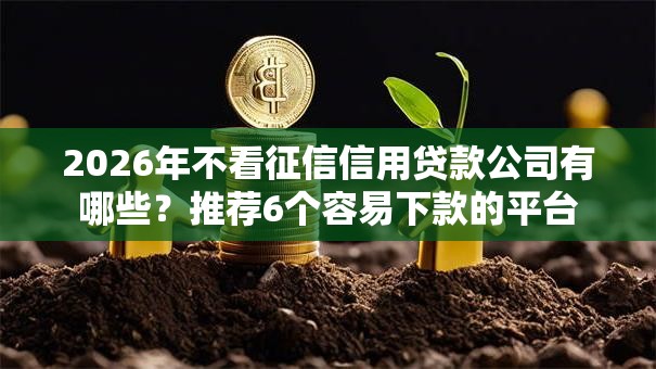 2026年不看征信信用贷款公司有哪些？推荐6个容易下款的平台