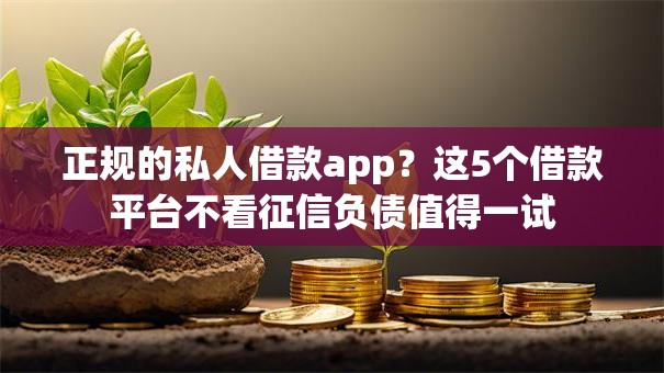 正规的私人借款app？这5个借款平台不看征信负债值得一试