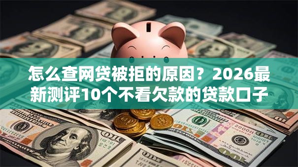 怎么查网贷被拒的原因？2026最新测评10个不看欠款的贷款口子