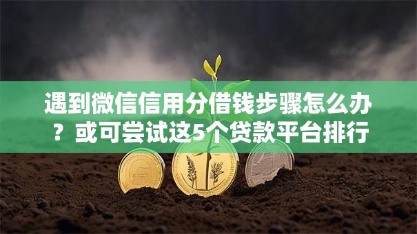 遇到微信信用分借钱步骤怎么办？或可尝试这5个贷款平台排行