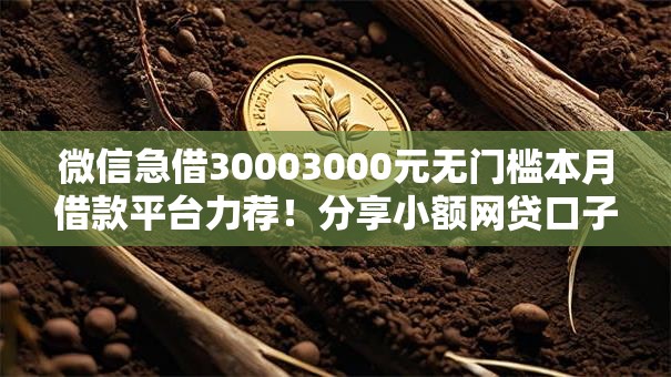 微信急借30003000元无门槛本月借款平台力荐！分享小额网贷口子3000元无门槛借款