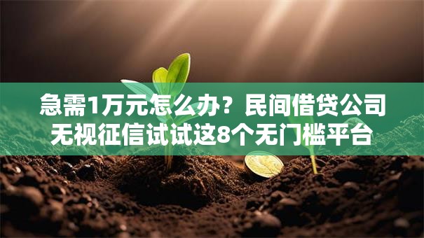 急需1万元怎么办？民间借贷公司无视征信试试这8个无门槛平台