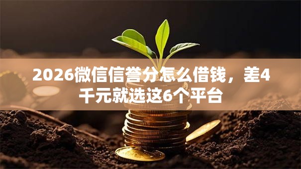 2026微信信誉分怎么借钱，差4千元就选这6个平台