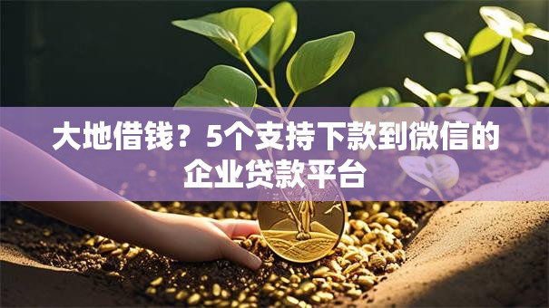 大地借钱？5个支持下款到微信的企业贷款平台